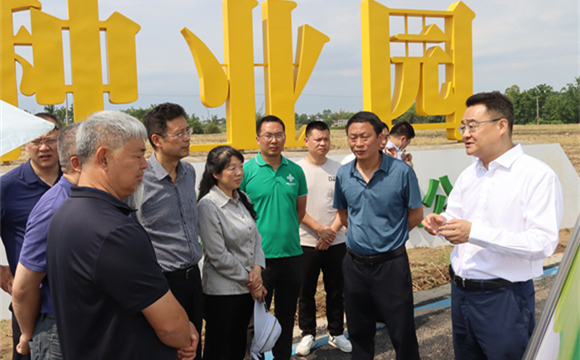 省人大农业农村委调研组调研集团青白江种植基地